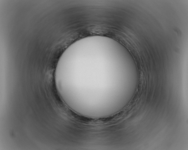 X0000113590271200909181054