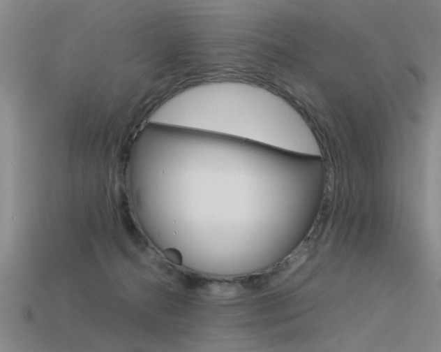 X0000113590272200909181054
