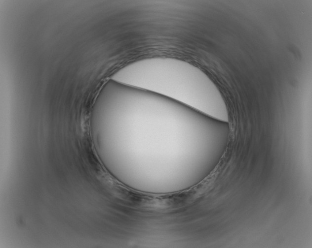 X0000113590276200909181054