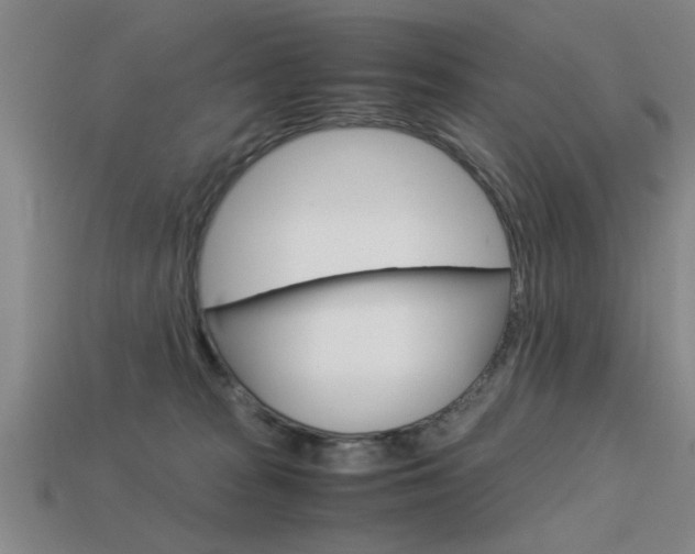 X0000113590277200909181054