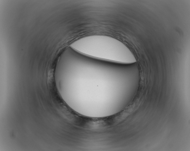 X0000113590278200909181054