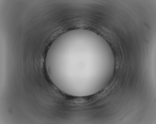 X0000113590279200909181054