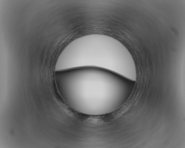 X0000113590280200909181054