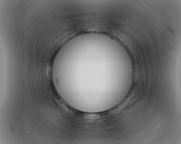 X0000113590281200909181054