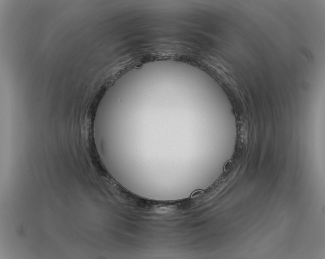 X0000113590283200909181054
