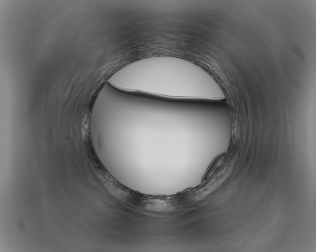 X0000113590285200909181054