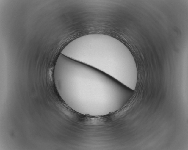 X0000113590286200909181054