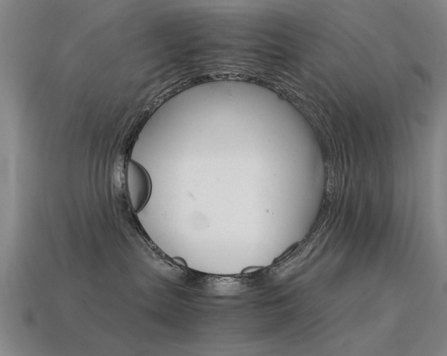 X0000113590287200909181054