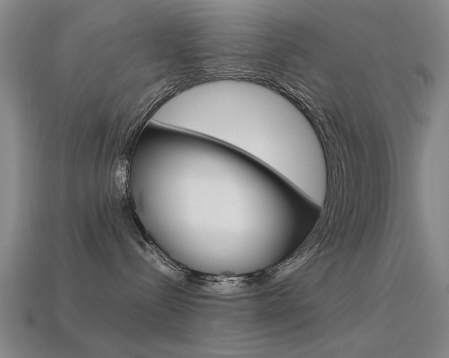 X0000113590288200909181054