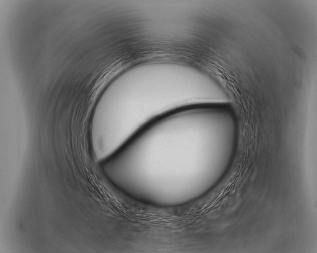 X0000113590289200909181053