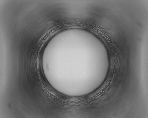 X0000113590290200909181053