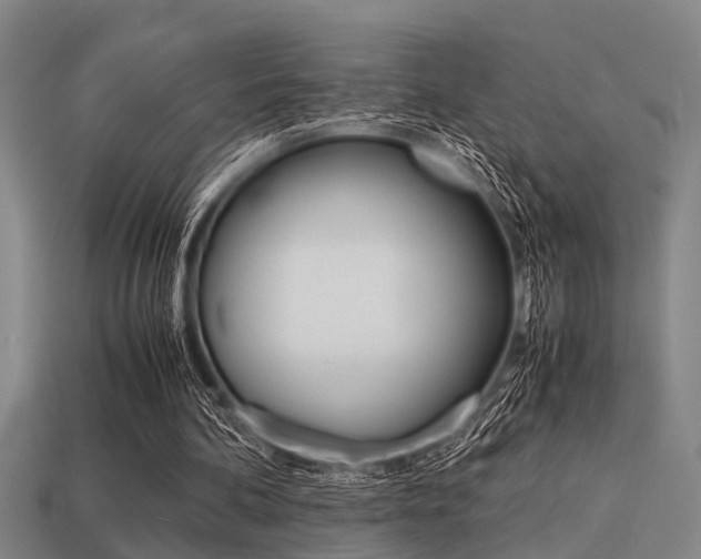 X0000113590292200909181053