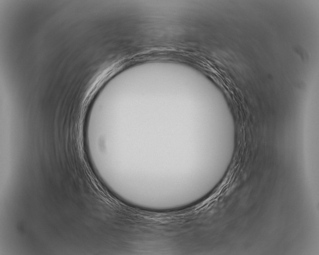 X0000113590293200909181053