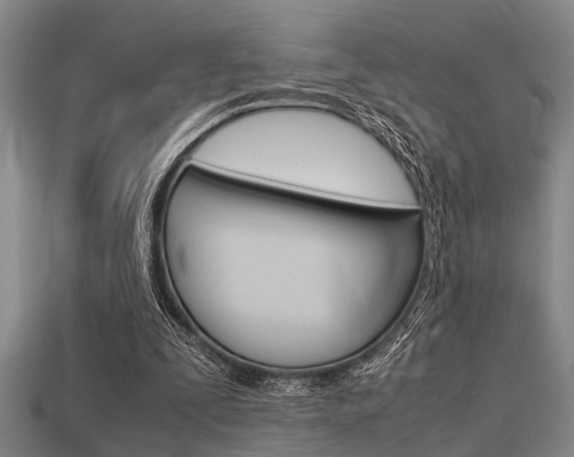 X0000113590295200909181053