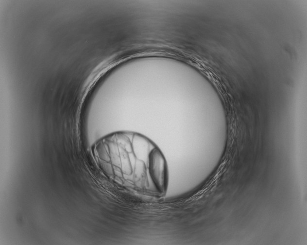 X0000113590296200909181053