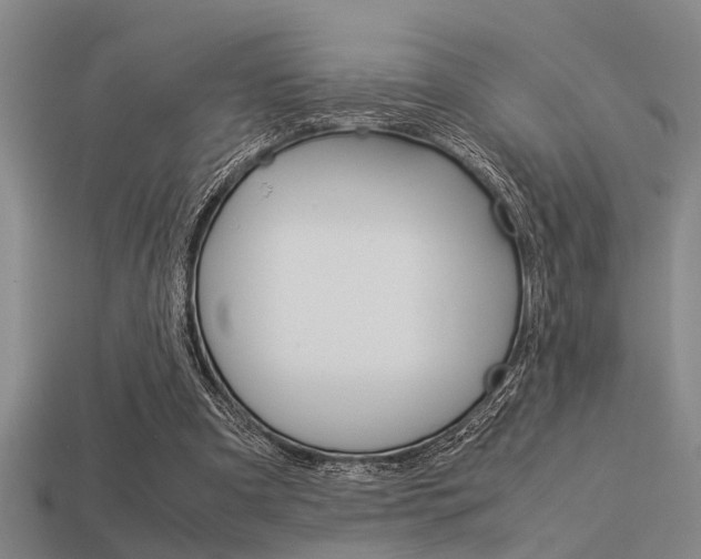 X0000113590297200909181053