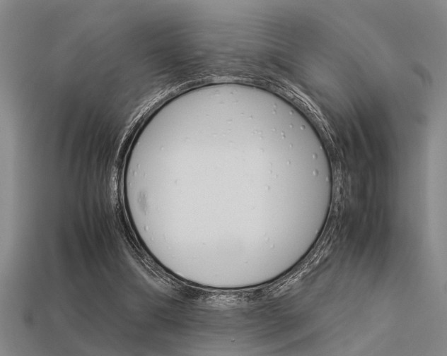 X0000113590298200909181053