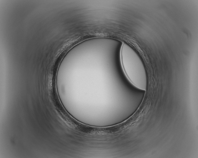 X0000113590299200909181053