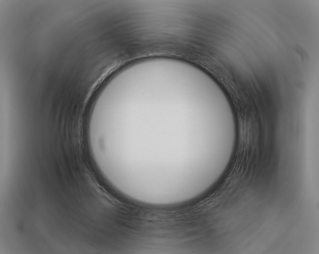 X0000113590300200909181053