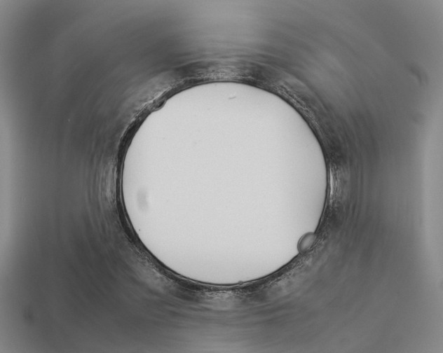 X0000113590301200909181053