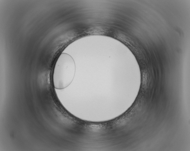 X0000113590302200909181053