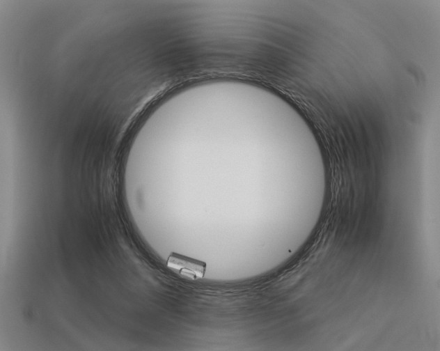 X0000113590304200909181053