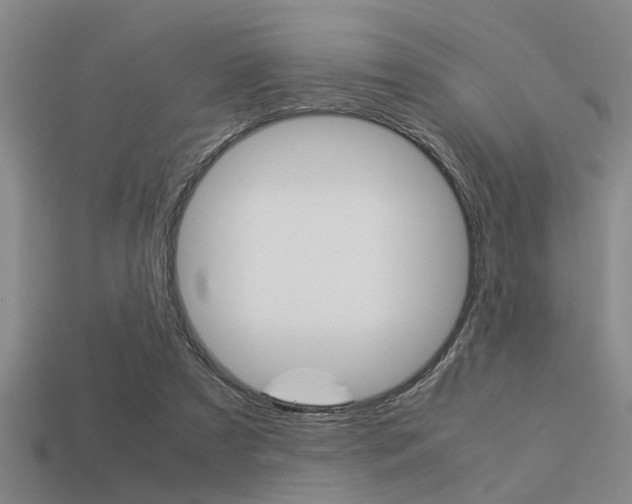 X0000113590305200909181053