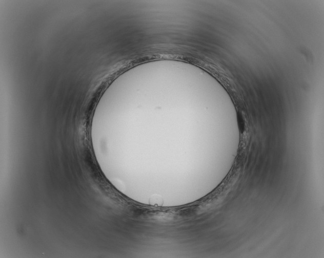 X0000113590306200909181053