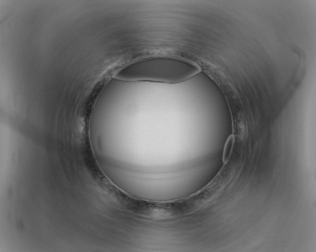 X0000113590308200909181053