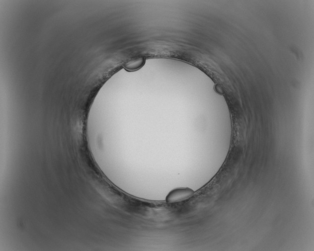 X0000113590309200909181053