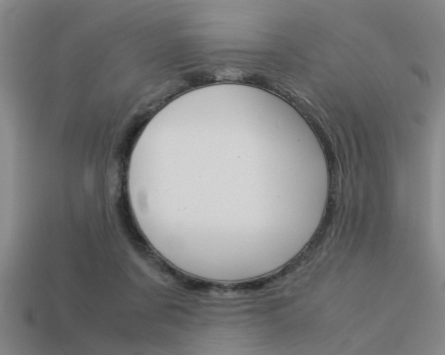 X0000113590311200909181053