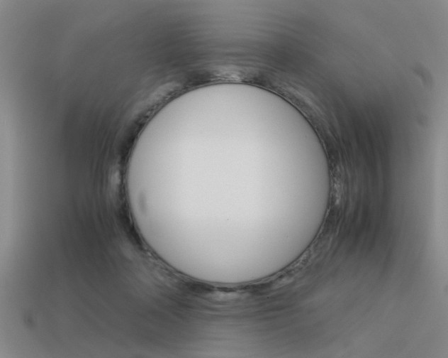 X0000113590314200909181053