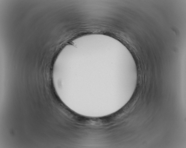 X0000113590317200909181053