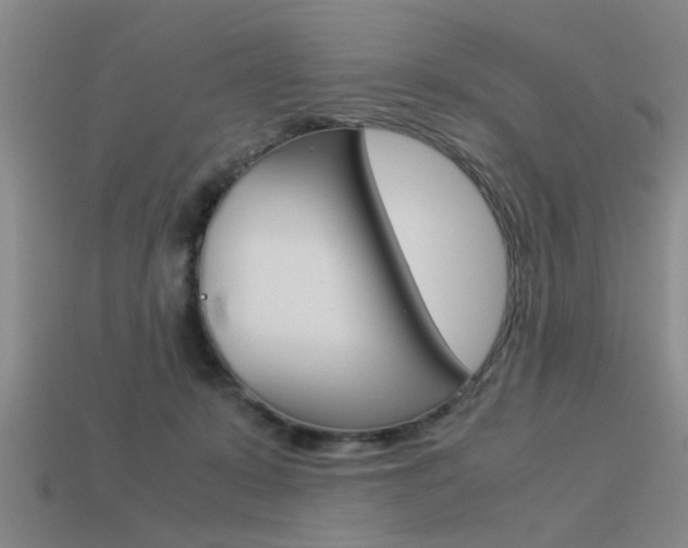 X0000113590319200909181053