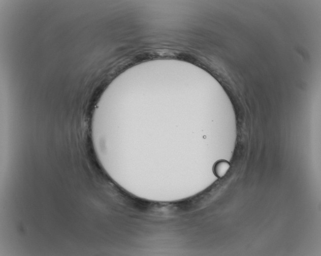 X0000113590321200909181053