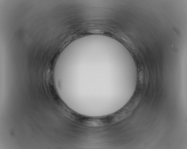 X0000113590322200909181053