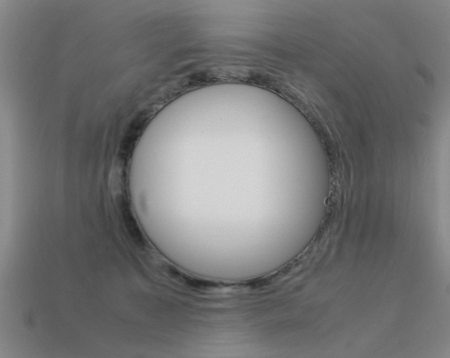 X0000113590323200909181053
