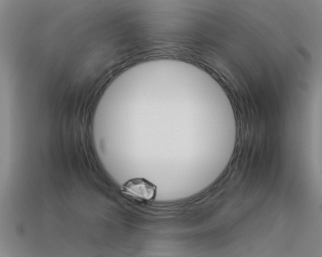 X0000113590324200909181053