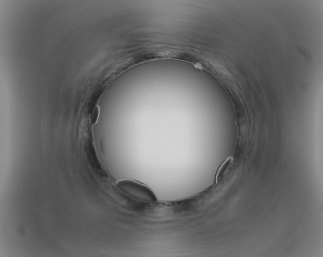 X0000113590325200909181053