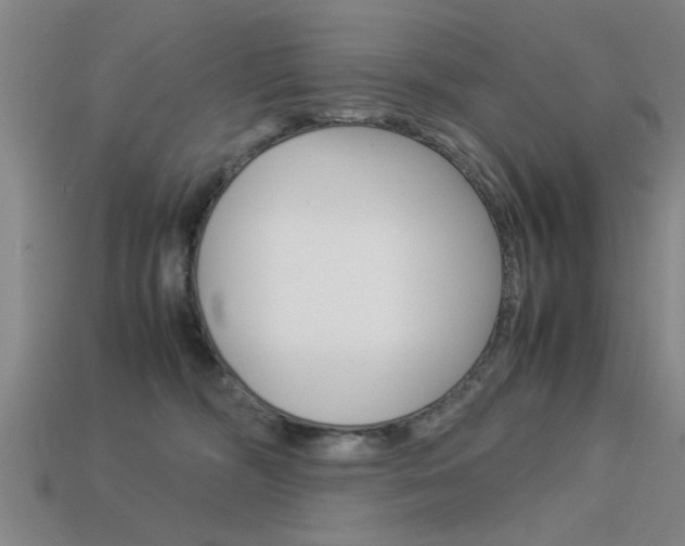 X0000113590326200909181053