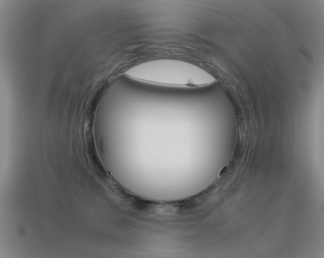 X0000113590327200909181053