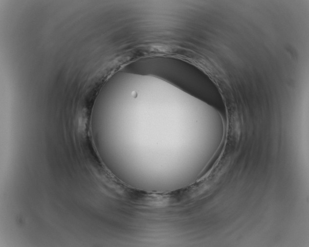 X0000113590328200909181053