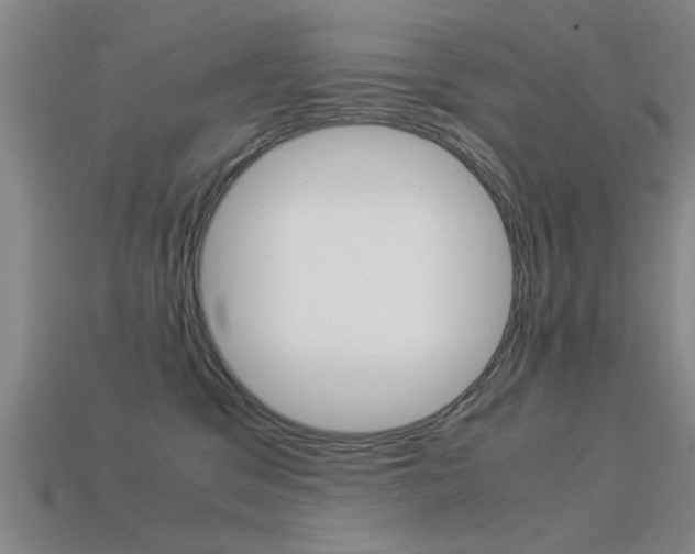 X0000113590329200909181053