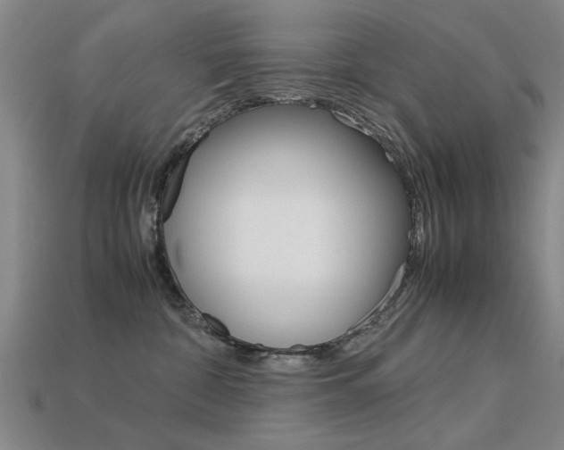 X0000113590332200909181053