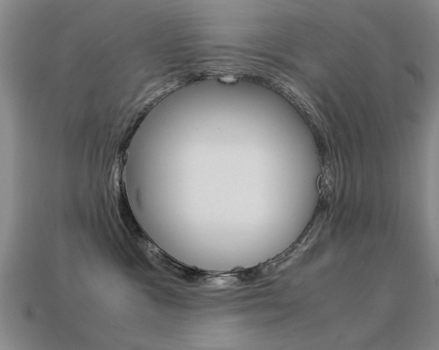 X0000113590333200909181053