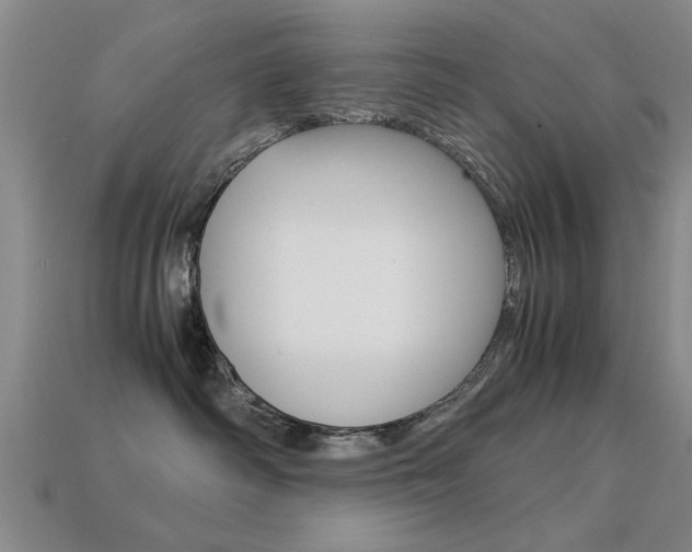 X0000113590334200909181053