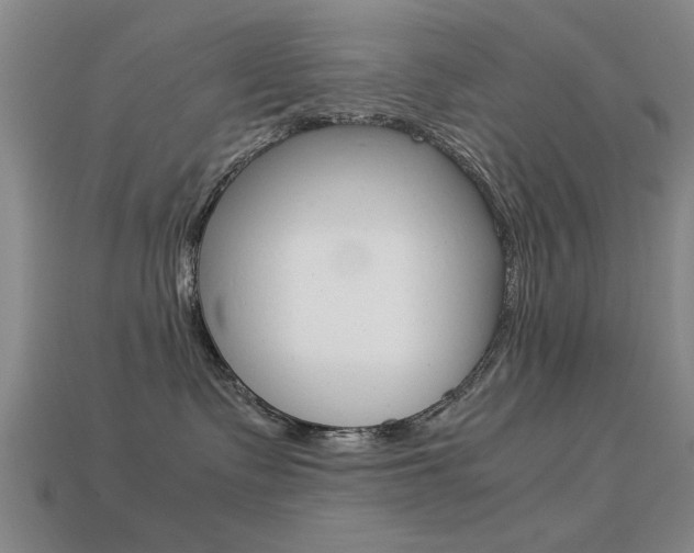 X0000113590335200909181053