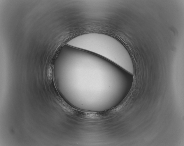 X0000113590336200909181053