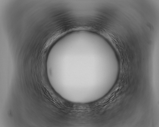 X0000113590337200909181052