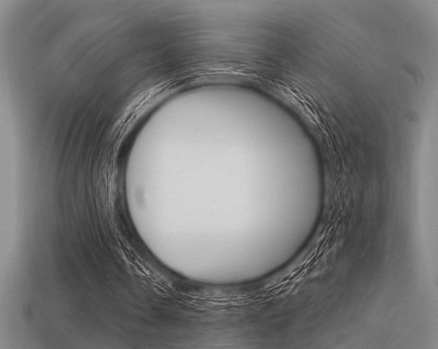 X0000113590338200909181052